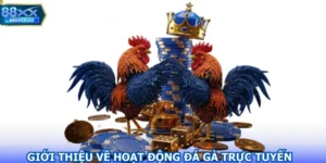 Các dạng trận đá gà phổ biến năm 2026